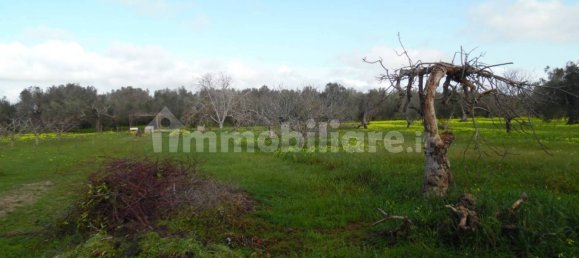 1 bedroom Villa in Brindisi, Italy No. 188854 5