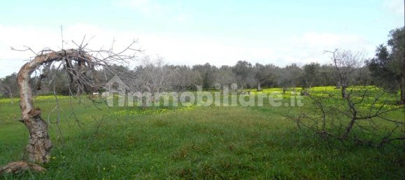 1 bedroom Villa in Brindisi, Italy No. 188854 6