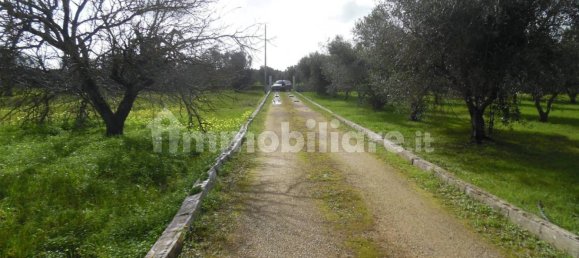 1 bedroom Villa in Brindisi, Italy No. 188854 25