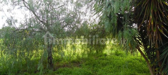 1 bedroom Villa in Brindisi, Italy No. 188854 11