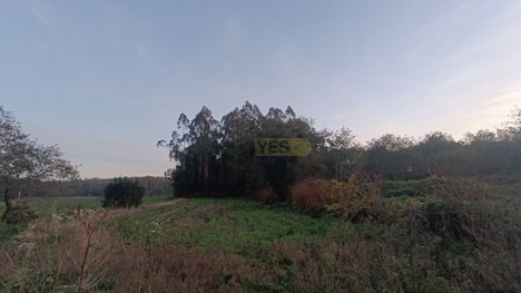 13000m² Land in Vila do Conde, Portugal No. 54916