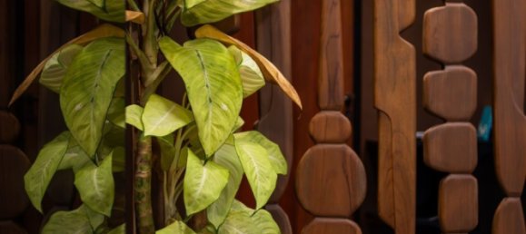 4 bedrooms Villa in Canggu, Indonesia No. 2505 3