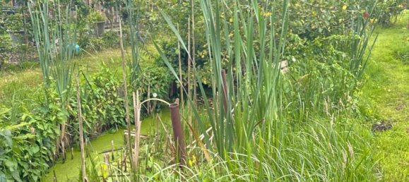  Land in Bremen, Germany No. 237414 7