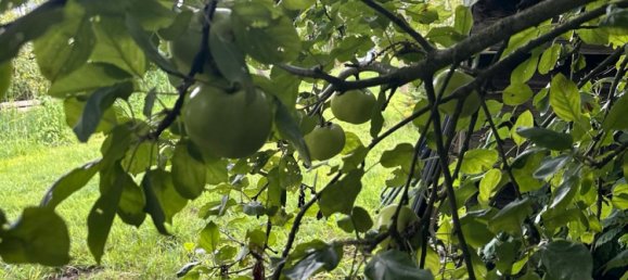  Land in Bremen, Germany No. 237414 6