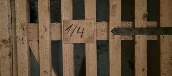 1 bedroom Apartment in Munich, Germany No. 135454 13