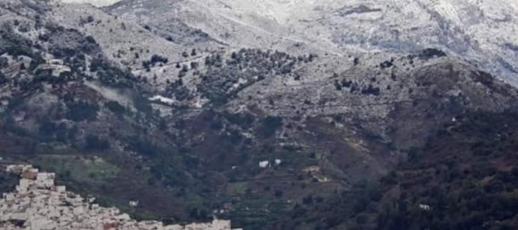 Дом с 10 спальнями в Толокс, Испания № 165995 25