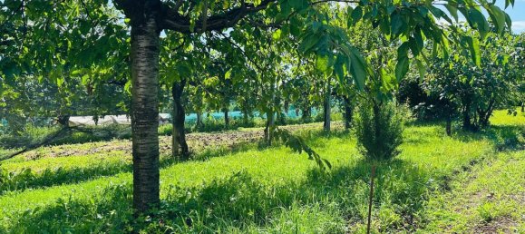 Земельный участок 1400м² в Удине, Италия № 285258 8