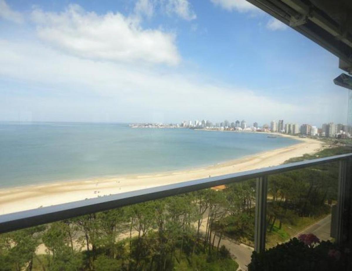 3 bedrooms Apartment in Maldonado, Uruguay No. 6751