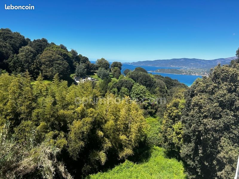 2 bedrooms House in Calcatoggio, France No. 74678