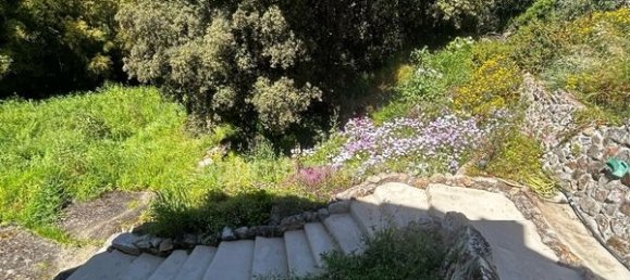 2 bedrooms House in Calcatoggio, France No. 74678 19