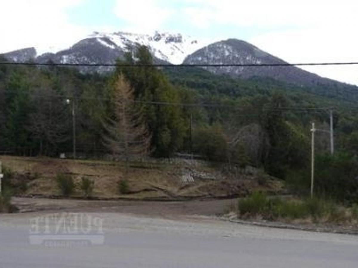  Land in Neuquen, Argentina No. 38951