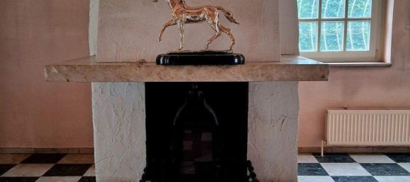 Granja de 9 habitaciónes en Pinneberg, Germany No. 368184 16