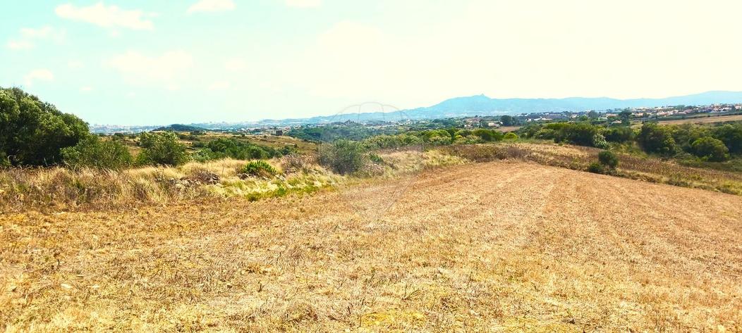 Terreno en Sintra, Portugal 9820 m² No. 70319