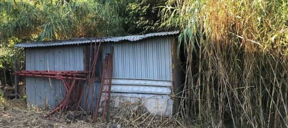 10-Zimmer Doppelhaus in Montepulciano, Italy, Nr. 251062 10