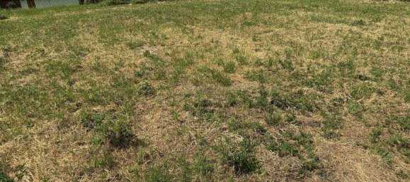 Земельный участок в Эдельшротт, Австрия № 132687 2