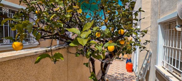 4 غرف نوم فيلا في Dehesa De Campoamor, Spain رقم 171486 18