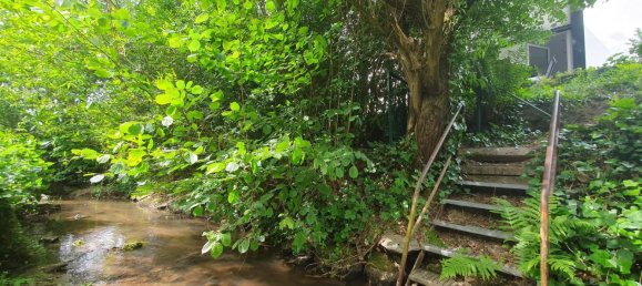 3 غرف نوم منزل في Bergstrase, Germany رقم 295487 5