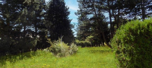 Land in Strasshof an der Nordbahn, Austria No. 212814 6