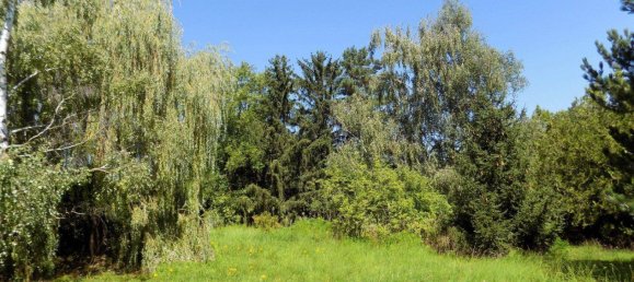 Land in Strasshof an der Nordbahn, Austria No. 212814 2