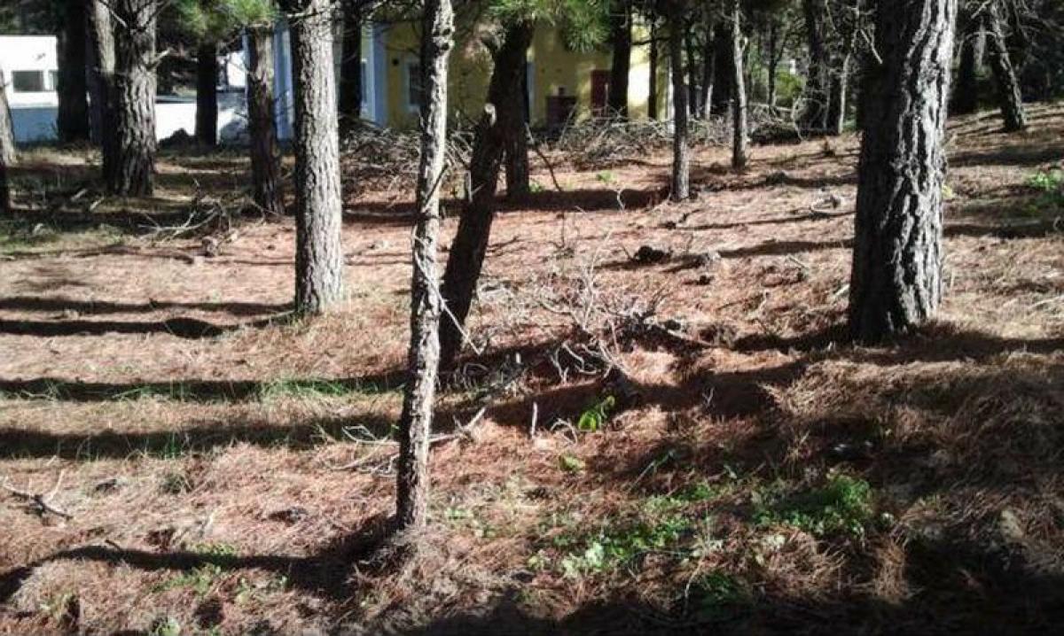 Terrain à Mar del Plata, Argentina No. 115859