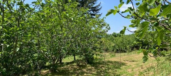 4 bedrooms House in Aveyron, France No. 353869 13