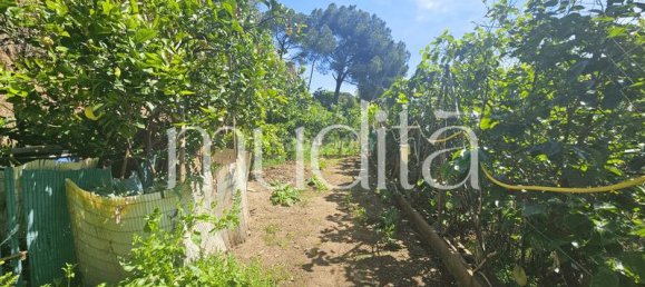 970m² Land in Argentona, Spain No. 191490 6