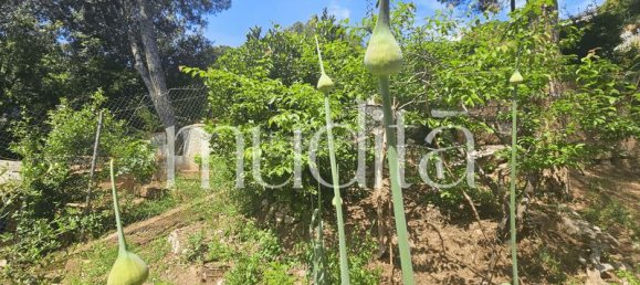 970m² Land in Argentona, Spain No. 191490 14