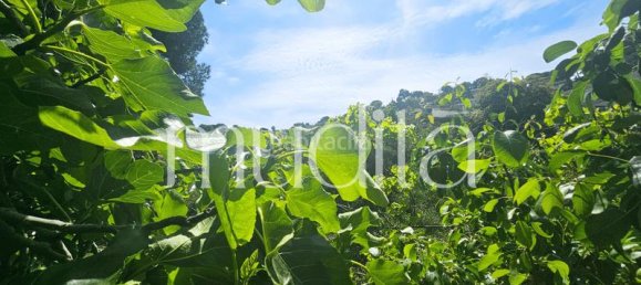 970m² Land in Argentona, Spain No. 191490 10