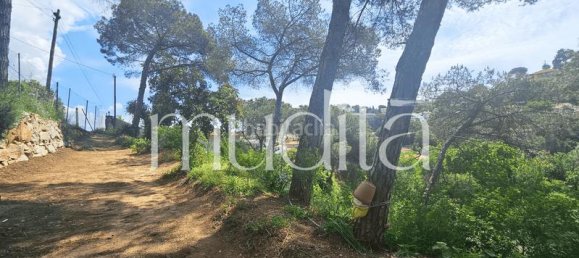 970m² Land in Argentona, Spain No. 191490 17