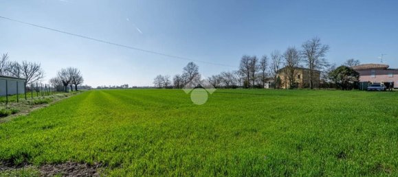  قطعة أرض في Novi di Modena, Italy 24000متر مربع رقم 77346 13