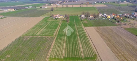  قطعة أرض في Novi di Modena, Italy 24000متر مربع رقم 77346 6