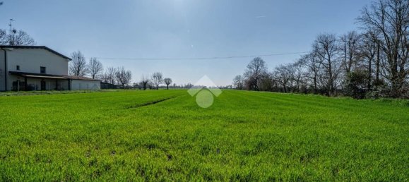  قطعة أرض في Novi di Modena, Italy 24000متر مربع رقم 77346 12