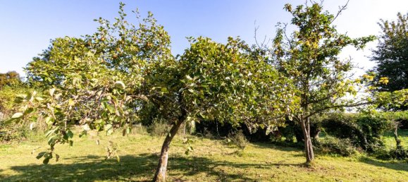 قطعة أرض في Beaumetz, France 908متر مربع رقم 254347 2