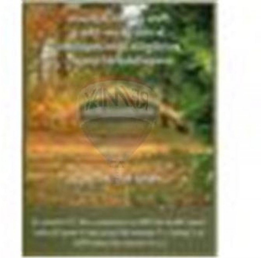  Land in Pilar, Argentina No. 34900