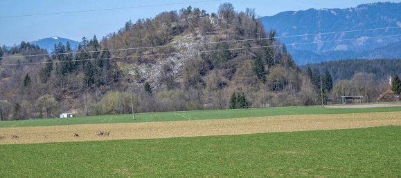 3 bedrooms House in Velden am Worther See, Austria No. 214385 26