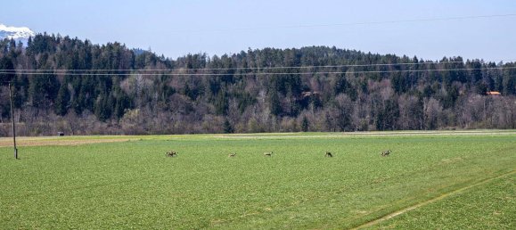 3 bedrooms House in Velden am Worther See, Austria No. 214385 25