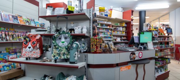 Commercial property in Vouvry, Switzerland No. 169 4