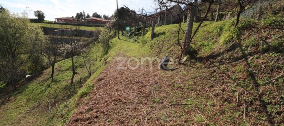 2120m² Land in Arcos de Valdevez, Portugal No. 37301 11