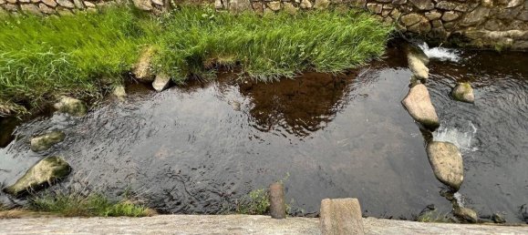 9-salle Café / restaurant à Zwickau, Germany No. 134205 11