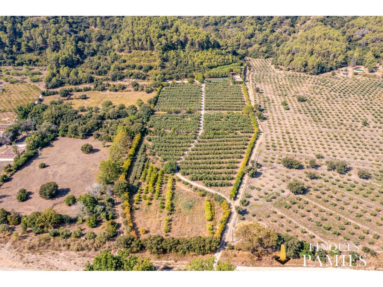 Terrain à Tarragona, Spain 44620m² No. 212175