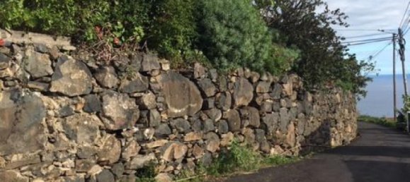 Estudio en Madeira, Portugal No. 6538 2