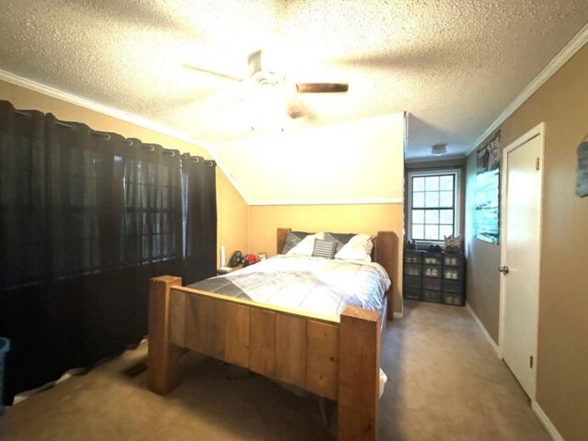 4 bedrooms House in Bruce, USA No. 399037