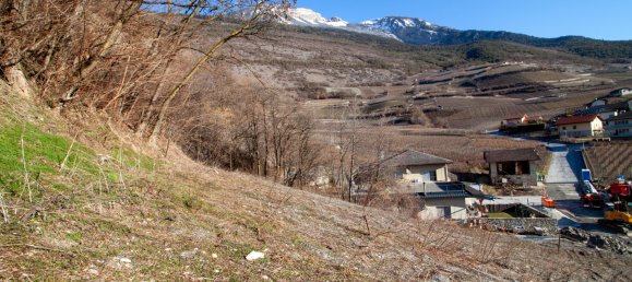 Terrain à Salgesch, Switzerland 1000m² No. 261 6