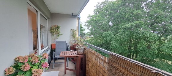 Estudio en Munster, Germany No. 24817 9