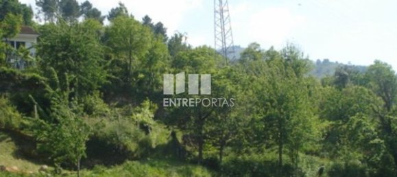 1380m² Land in Sao Cristovao de Nogueira, Portugal No. 58243 3