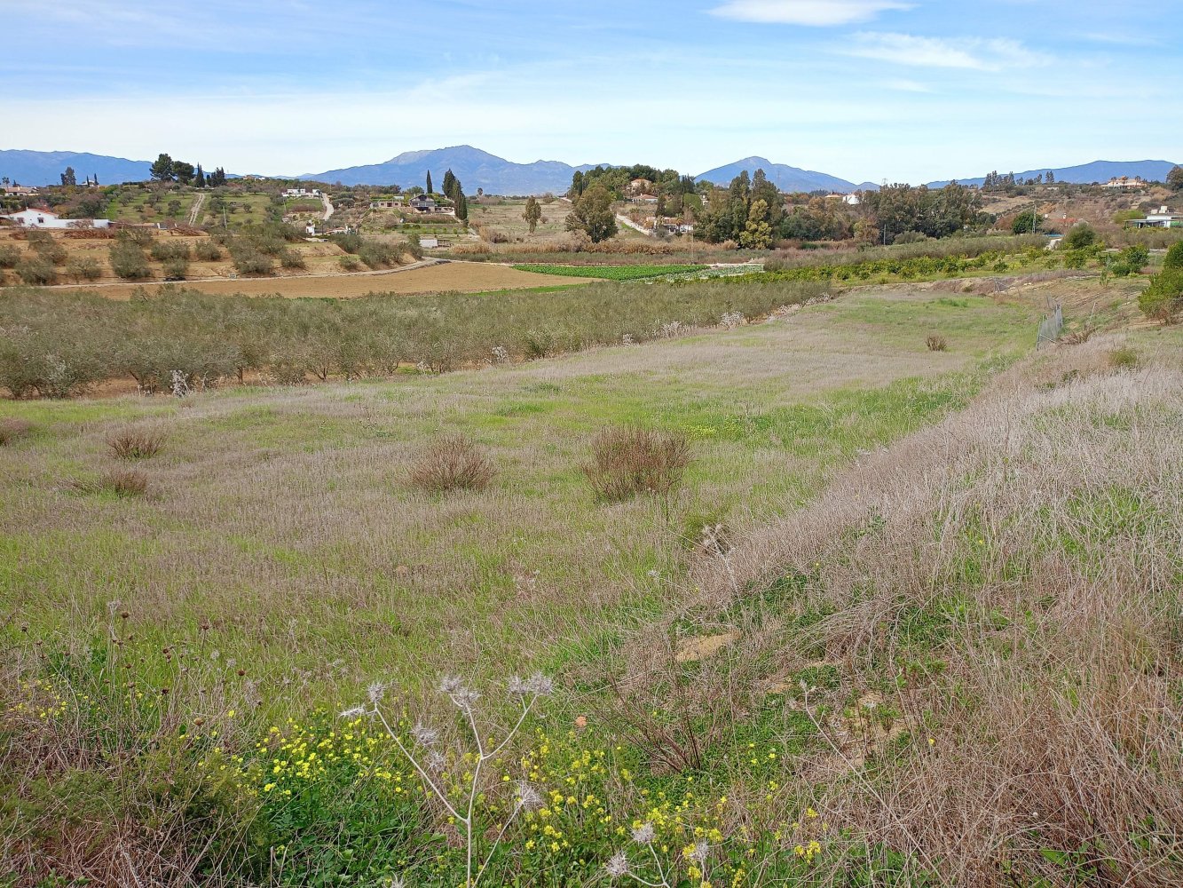 2300m² Land in Alhaurin el Grande, Spain No. 215200