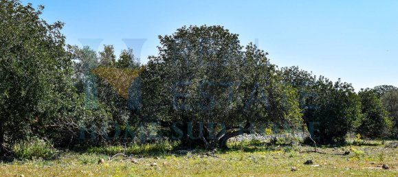 Studio à Rosolini, Italy No. 121202 25