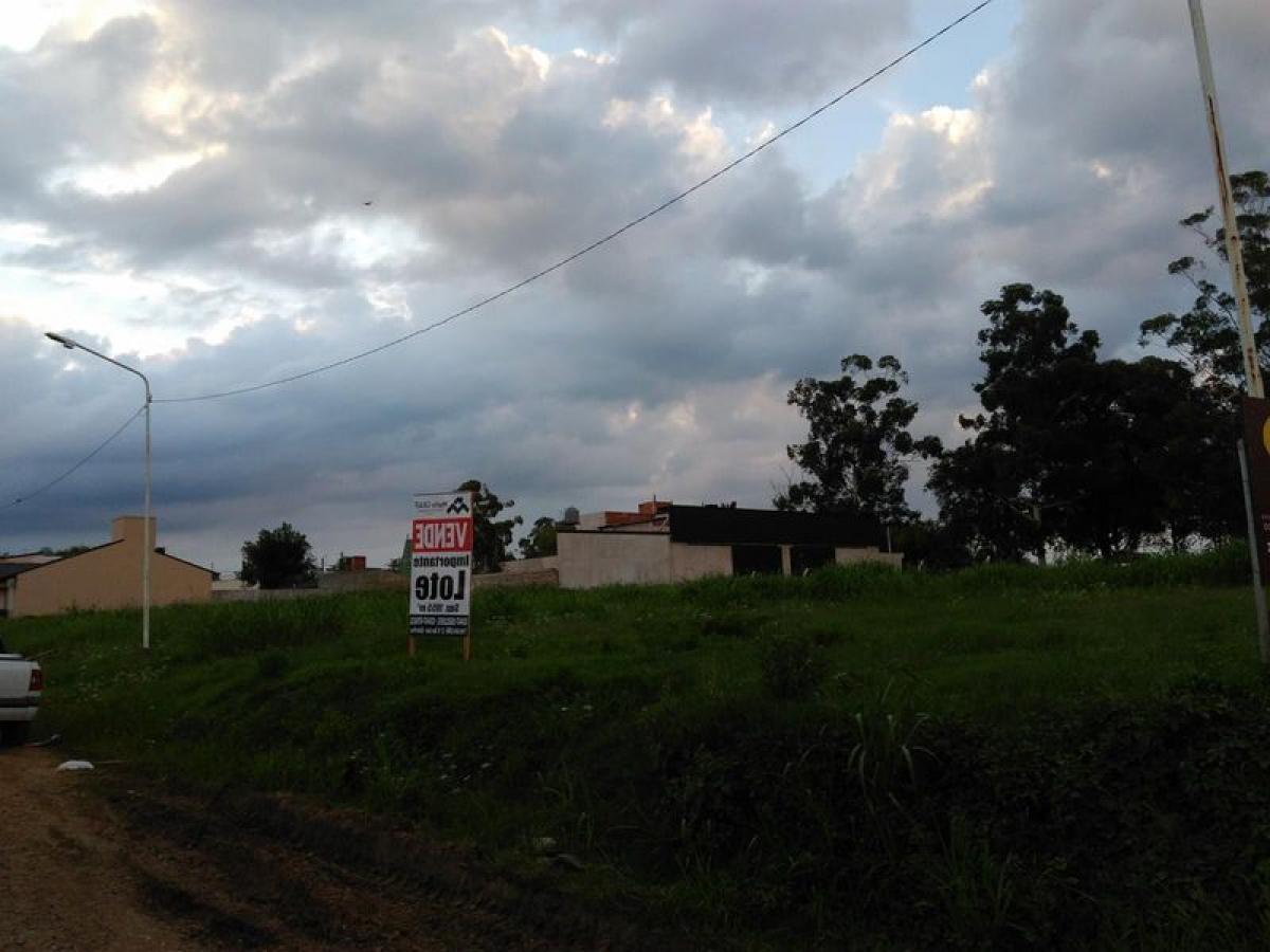  Land in Entre Rios, Argentina No. 40371