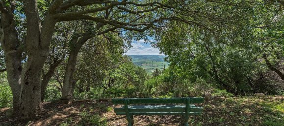 7 bedrooms Villa in Scansano, Italy No. 60012 14