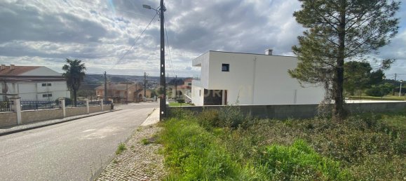  Land in Pombal, Portugal No. 83754 16
